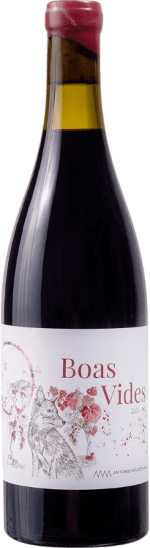 Free Shipping | Red wine Boas Vides D.O. Ribeiro Galicia Spain Sousón, Touriga Nacional, Espadeiro, Brancellao 75 cl