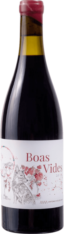 Envio grátis | Vinho Tinto Boas Vides D.O. Ribeiro Galiza Espanha Sousón — Sousão, Touriga Nacional, Espadeiro, Brancellao 75 cl