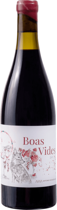 Free Shipping | Red wine Boas Vides Sobranceiro D.O. Ribeiro Galicia Spain Grenache, Caíño Black 75 cl