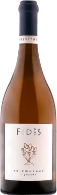 Domaine Eric Morgat. Fidès Chenin Blanc Savennières 75 cl