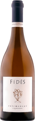 Domaine Eric Morgat. Fidès Chenin Savennières 75 cl