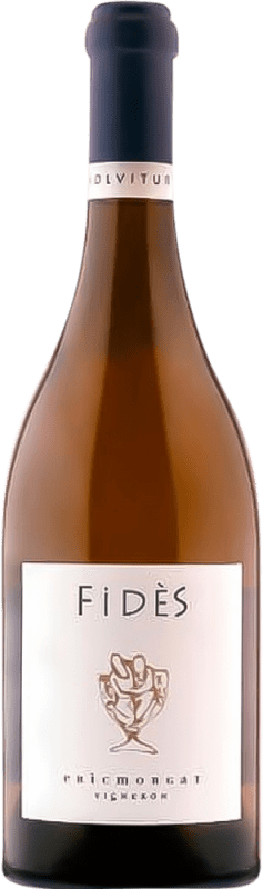 Envoi gratuit | Vin blanc Domaine Eric Morgat. Fidès A.O.C. Savennières France Chenin Blanc 75 cl