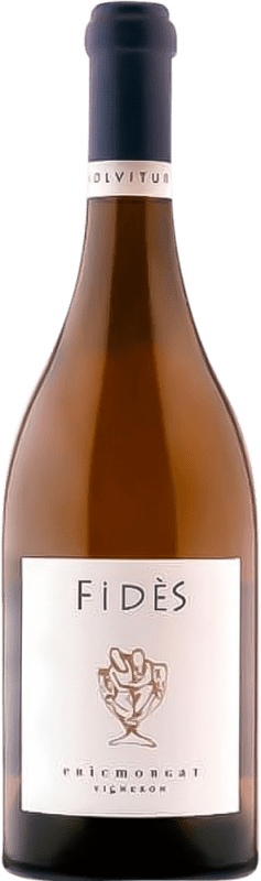 免费送货 | 白葡萄酒 Domaine Eric Morgat. Fidès A.O.C. Savennières 法国 Chenin — 白诗南 75 cl