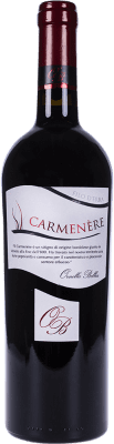 Cantina Ornella Bellia Terre Piane Tinto Carmenère Veneto 75 cl