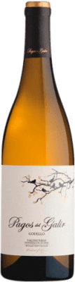 Virxe de Galir Pagos Godello Valdeorras 75 cl