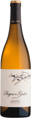 Virxe de Galir Pagos