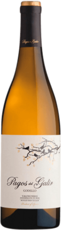 13,95 € | Белое вино Virxe de Galir Pagos D.O. Valdeorras Испания Godello 75 cl