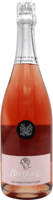 Bodegas Escudero Bécquer Rosado Pinot Black 香槟 Cava 75 cl