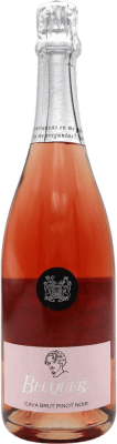 Bodegas Escudero Bécquer Rosado Pinot Black 香槟 Cava 75 cl