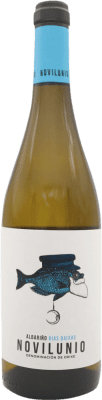 H. Paniagua Novilunio Albariño — Альбариньо Rías Baixas 75 cl