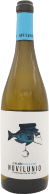 H. Paniagua Novilunio Albariño Rías Baixas 75 cl