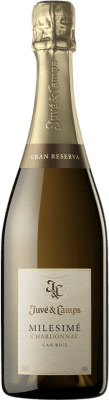 Juvé y Camps Chardonnay — シャルドネ Cava Millésimé 75 cl