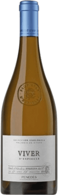 Juvé y Camps Viver d'Espiells Malvasía de Sitges Penedès 75 cl