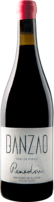 Banzao Penedón Mencía Bierzo Vino de Paraje — Lagenwein 75 cl