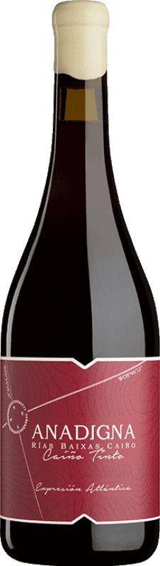 送料無料 | 赤ワイン Anadigna Tinto D.O. Rías Baixas ガリシア スペイン Caíño Black 75 cl