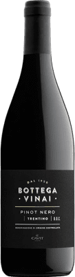 Cavit Bottega Vinai Pinot Black Trentino 75 cl