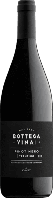 Cavit Bottega Vinai Pinot Noir — ピノ・ノワール Trentino 75 cl