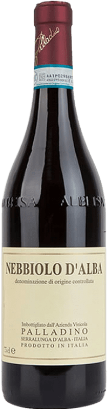 37,95 € | 红酒 Palladino D.O.C. Nebbiolo d'Alba 意大利 Nebbiolo 75 cl