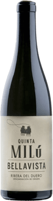 Quinta Milú Bellavista