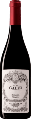 Virxe de Galir Val do Galir Mencía Valdeorras 75 cl