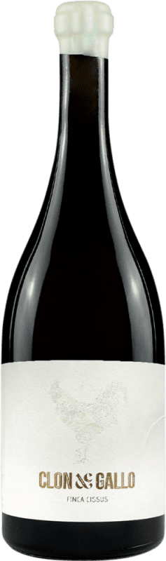 52,95 € Envío gratis | Vino Blanco Dominio del Blanco D.O. Rueda