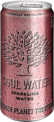 Wasser 24 Einheiten Box Menno Koopmans Soul Water Sparkling Alu-Dose 33 cl