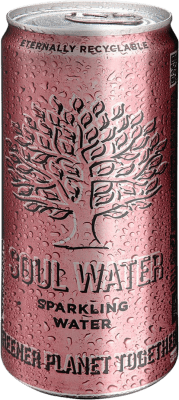 Бесплатная доставка | Коробка из 24 единиц Вода Menno Koopmans Soul Water Sparkling Балеарские острова Испания Банка 33 cl