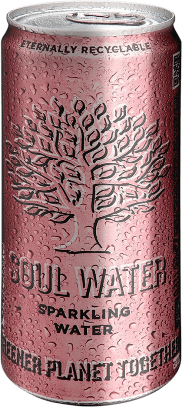 Envoi gratuit | Boîte de 24 unités Eau Menno Koopmans Soul Water Sparkling Îles Baléares Espagne Canette 33 cl