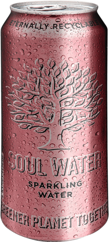 Kostenloser Versand | 24 Einheiten Box Wasser Menno Koopmans Soul Water Sparkling Balearen Spanien Medium Flasche 50 cl