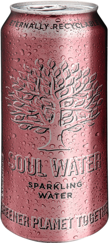23,95 € | 24 units box Water Menno Koopmans Soul Frizzante — Semi-Sparkling, Mineral Natural — Natural Mineral Balearic Islands Spain Can 50 cl
