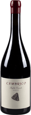 Cámbrico Granito El Pocito