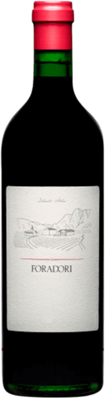 36,95 € 送料無料 | 赤ワイン Foradori Teroldego Rotaliano I.G.T. Vigneti delle Dolomiti
