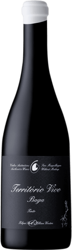 Envio grátis | Vinho tinto Filipa Pato Território Vivo D.O.C. Bairrada Portugal Baga 75 cl