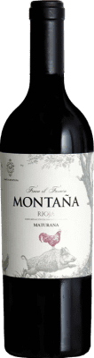 Montaña Finca el Faraón Maturana — 玛图拉纳 Rioja 75 cl
