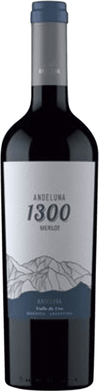 11,95 € 送料無料 | 赤ワイン Andeluna 1300 I.G. Mendoza