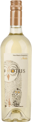 Asio Otus Bianco