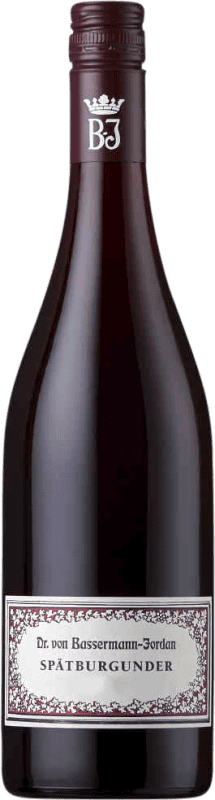 Envio grátis | Vinho Tinto Dr. Von Basserman-Jordan Trocken — Seco Q.b.A. Pfälz Pfälz Alemanha Pinot Noir 75 cl