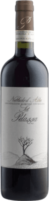 Daniele Pelassa Sot Nebbiolo Nebbiolo d'Alba 75 cl