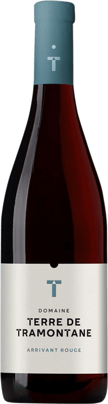 Free Shipping | Red wine Terre de Tramontane Arrivant Rouge I.G.P. Vin de Pays Languedoc Languedoc-Roussillon France Grenache, Nebbiolo, Mourvèdre 75 cl