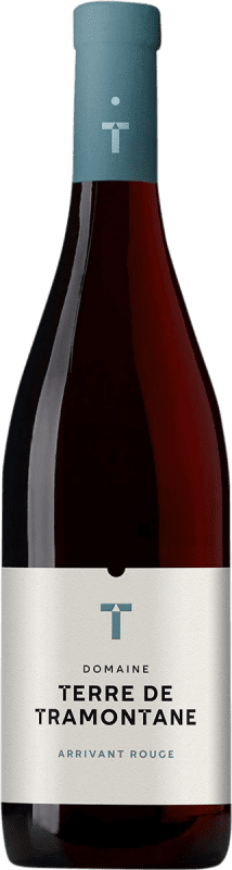 22,95 € 免费送货 | 红酒 Terre de Tramontane Arrivant Rouge I.G.P. Vin de Pays Languedoc
