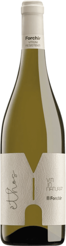 69,95 € Бесплатная доставка | Белое вино Forchir Ethos Бутылка Магнум 1,5 L