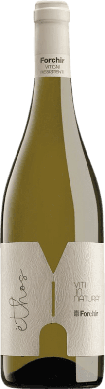 Envoi gratuit | Vin blanc Forchir Ethos Bianco Frioul-Vénétie Julienne Italie Bouteille Magnum 1,5 L