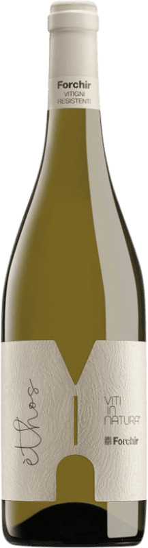 Envio grátis | Vinho branco Forchir Ethos Bianco Friuli-Venezia Giulia Itália 75 cl