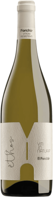 18,95 € Spedizione Gratuita | Vino Bianco Forchir Ethos
