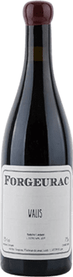 Forgeurac Walis Badischer Landwein Pinot Black Baden 75 cl