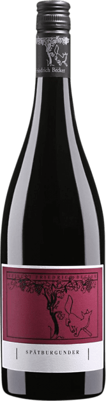 16,95 € | 赤ワイン Friedrich Becker ドライ V.D.P. Gutswein Pfälz ドイツ Pinot Black 75 cl