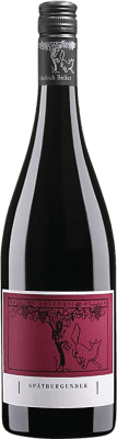 Friedrich Becker Pinot Black 干 Pfälz 75 cl