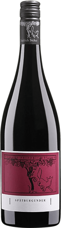 Free Shipping | Red wine Friedrich Becker Dry Q.b.A. Pfälz Pfälz Germany Pinot Black 75 cl