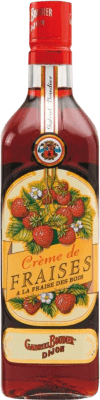 Crema di Liquore Gabriel Boudier Fraises Bottiglia Medium 50 cl