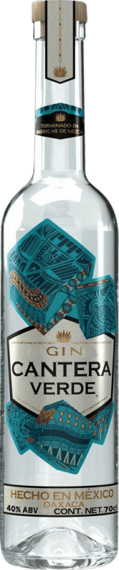 29,95 € Envío gratis | Ginebra González Byass Cantera Verde Gin